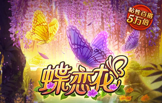 艾尚体育官网登录入口