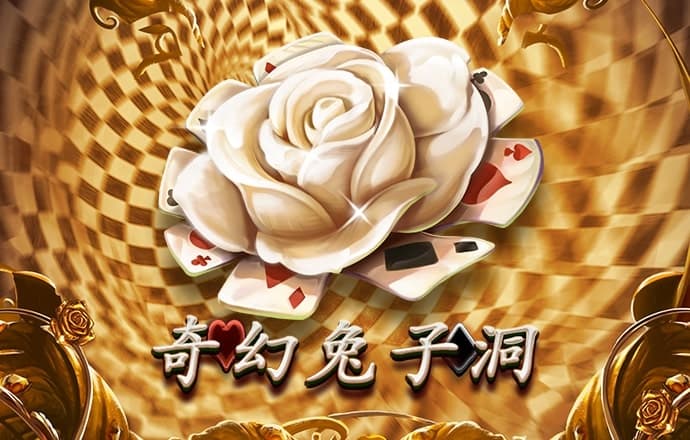 金年华体育平台官网入口